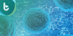美國科學家研發人工胸腺，輔助免疫系統抵抗癌細胞