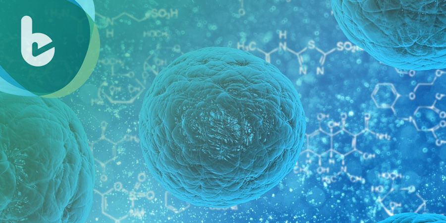 美國科學家研發人工胸腺，輔助免疫系統抵抗癌細胞