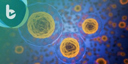 科學家發現免疫檢查點抑制劑PD-1/PD-L1 能誘導巨噬細胞吞噬癌症