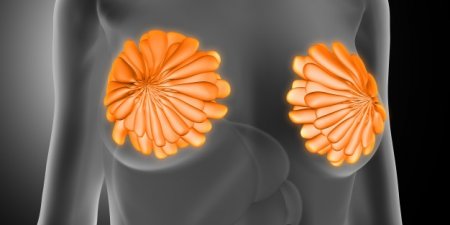 乳癌新療法 兩藥混合腫瘤11天消失