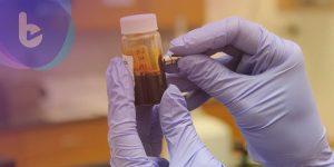 研究以新藥恢復變異蛋白 拯救基因組守衛者對抗癌症