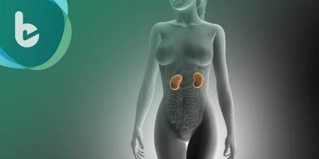 心腎糖病友多病纏身怎麼吃才好？　國內外醫學權威給予最新建議
