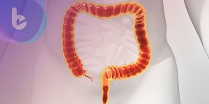 科學期刊：吃膳食纖維能讓人更健康的原因竟在腸道微生物…