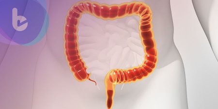 科學期刊:吃膳食纖維能讓人更健康的原因竟在腸道微生物…