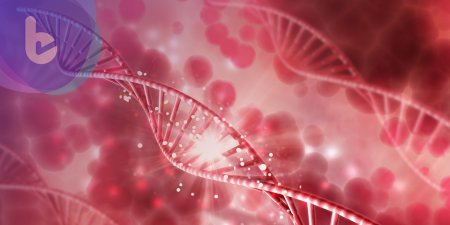 美國 FDA 批准通過第二款針對癌症的基因療法 Yescarta