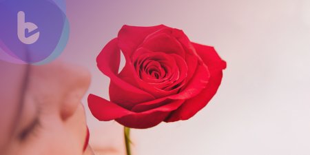 敏銳的嗅覺神經讓你更飢餓？  新研究也許造成減重方式的革新