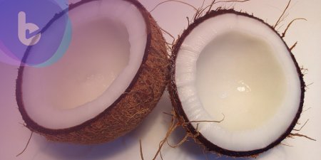 椰子油=好油? 可能是一場美麗的誤會…
