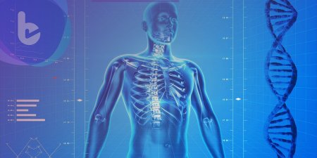 2018生醫年會發表健康老化概念  3D虛擬解剖桌結合醫療新科技