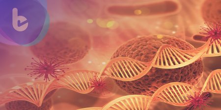 科學家發現人體「新器官」！竟與癌症轉移有關