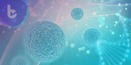 金門美兆診所'anti-TNF-α生物製劑可顯著降低史帝文生 中研院揪出癌細胞轉移關鍵基因!