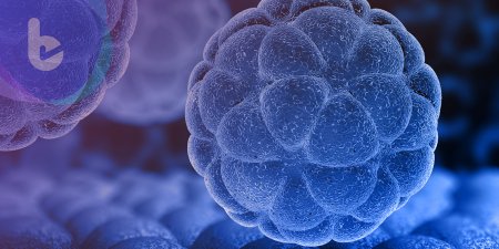 「化學開關」助奈米微脂體藥物維持有效劑量 穩定包覆藥物送達目標細胞