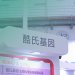【台灣生物科技展】酷氏基因透過基因檢測 篩檢子宮內膜癌