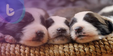 睡眠影響大腦排毒 你有好好睡覺嗎?