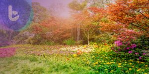 不要亂「拈花惹草」！研究證實「植物也有痛覺」