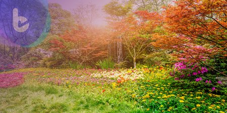 不要亂「拈花惹草」！研究證實「植物也有痛覺」