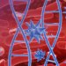 免疫療法抗癌新突破！諾貝爾醫學獎由美、日學者抱回
