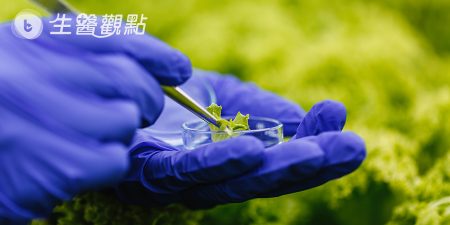 國衛院研發合成石松科生物鹼，全球首創技術有助開創新藥物
