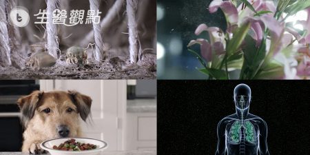 過敏很容易! 如何脫離室內過敏原?