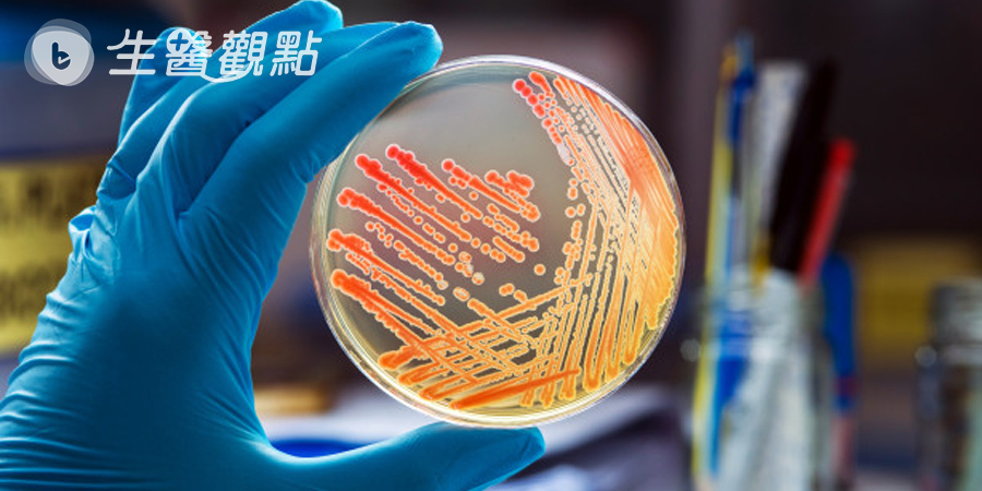 超級真菌成全球威脅　醫籲醫院加強防護