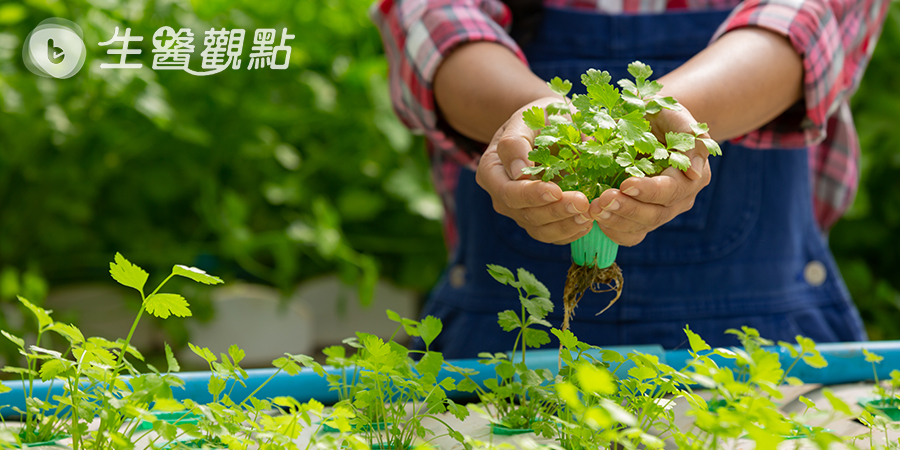 響應422 Earth Day 一起種菜愛地球