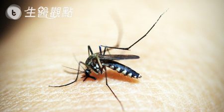 Mosquito Control Programs in Taiwan Adopt Scientific Approaches