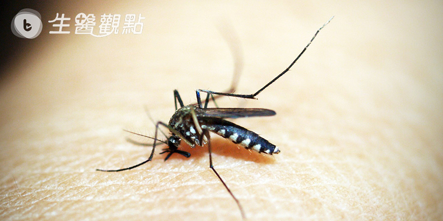 防疫最前線 從受助到助人（一）