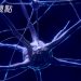 癱瘓傷友新希望!  臺日研發人工合成八醣體