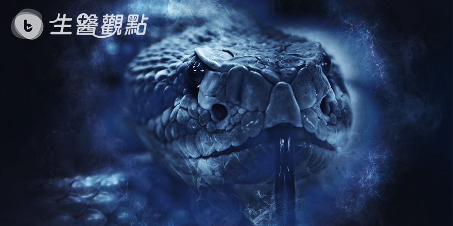 不容忽視的蛇吻 1億美金資助抗蛇毒血清研究
