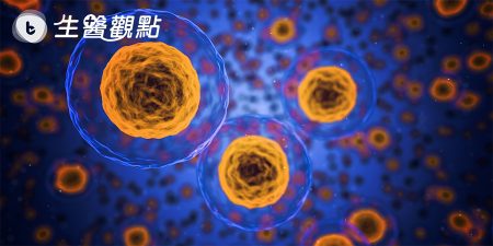 基亞與中基合作  進擊亞洲國際市場