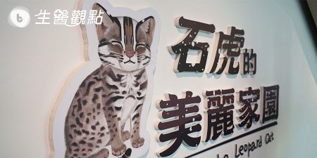 重視臺灣瀕臨物種 科博館推《石虎的美麗家園》特展
