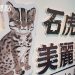 重視臺灣瀕臨物種 科博館推《石虎的美麗家園》特展