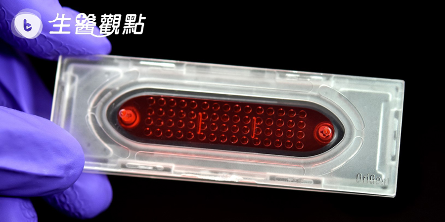 提升單細胞抓取成功率 國衛院就靠這一招!