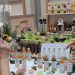 牙口不好？食研所：免驚！銀髮友善食品看這