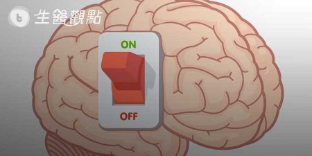 科學家研究出能讓死豬大腦復活的方法