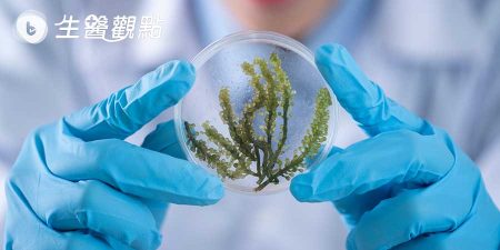 各位親朋好友，你們對「學生物的」可能有點誤會…