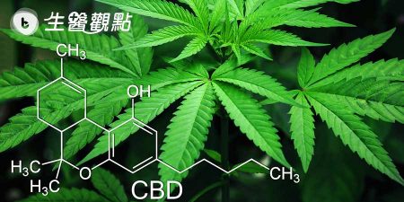 澳洲研究：大麻萃取物有潛力成為新一代抗生素
