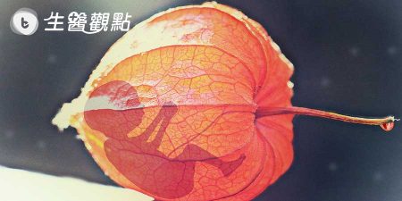 某「知名國際期刊」：受精卵或非生命起點。這結論是認真的嗎…