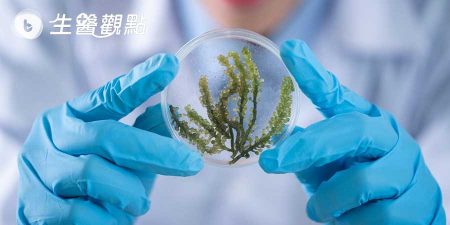 手把手教你用Imaris 計算細胞面積