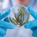 手把手教你用Imaris 計算細胞面積