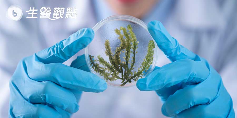 手把手教你用Imaris 計算細胞面積