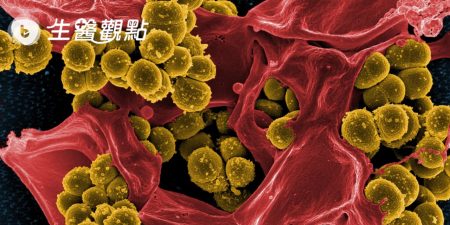 英國研究：香菸煙霧增加超級細菌的抗藥性