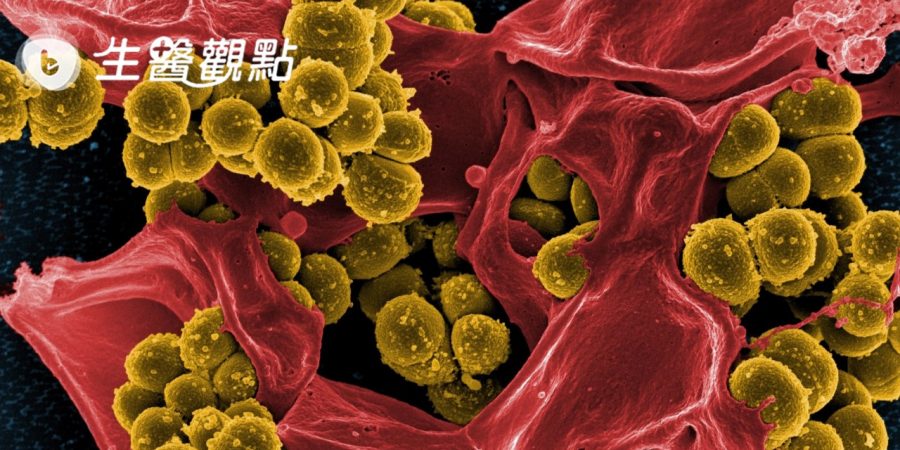 英國研究：香菸煙霧增加超級細菌的抗藥性