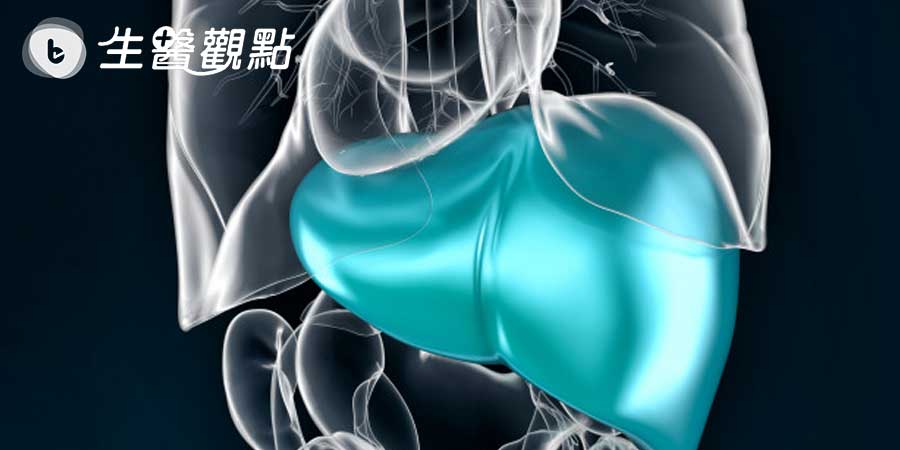 近半B肝帶原者不自知　正確篩治避免肝炎三部曲