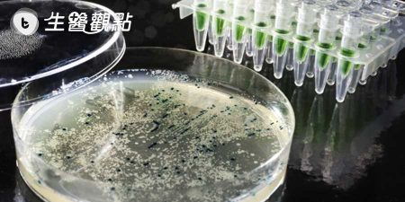 Science 新發現：你發胖真的不怪你嘴饞！都是「致胖細菌」搞的鬼
