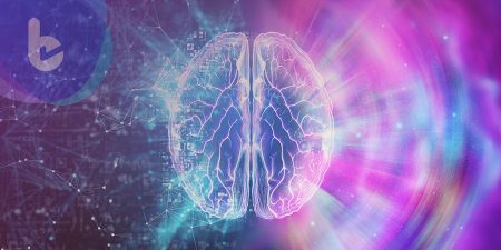 記憶是如何形成和消失的？科學家完整說明