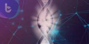 PNAS：哈佛學者發現基因療法　舒緩腎衰竭等「老病」
