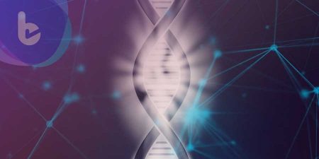 PNAS：哈佛學者發現基因療法　舒緩腎衰竭等「老病」