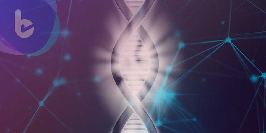 PNAS：哈佛學者發現基因療法　舒緩腎衰竭等「老病」