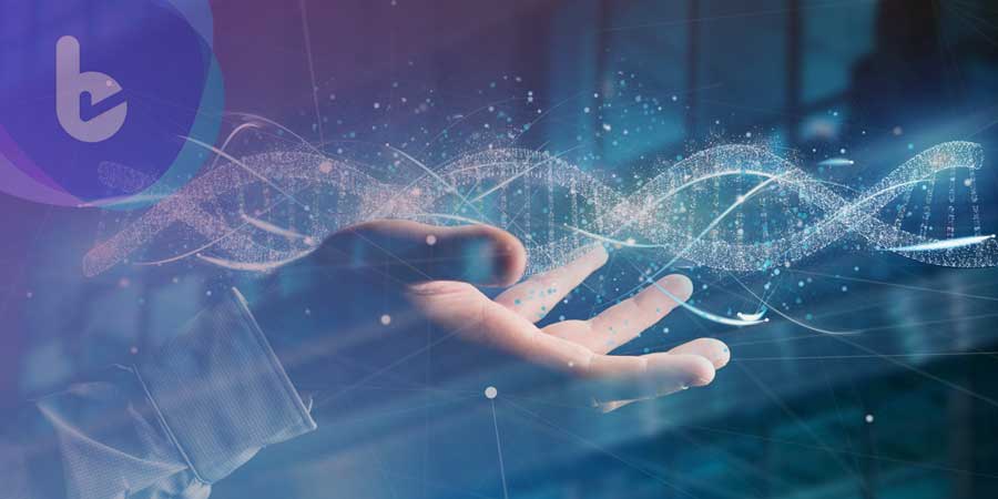 PNAS：香港中文大學新發現　母親血液中發現環狀DNA