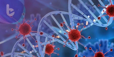 中國學者：新型冠狀病毒基因與SARS接近　可能來自蝙蝠